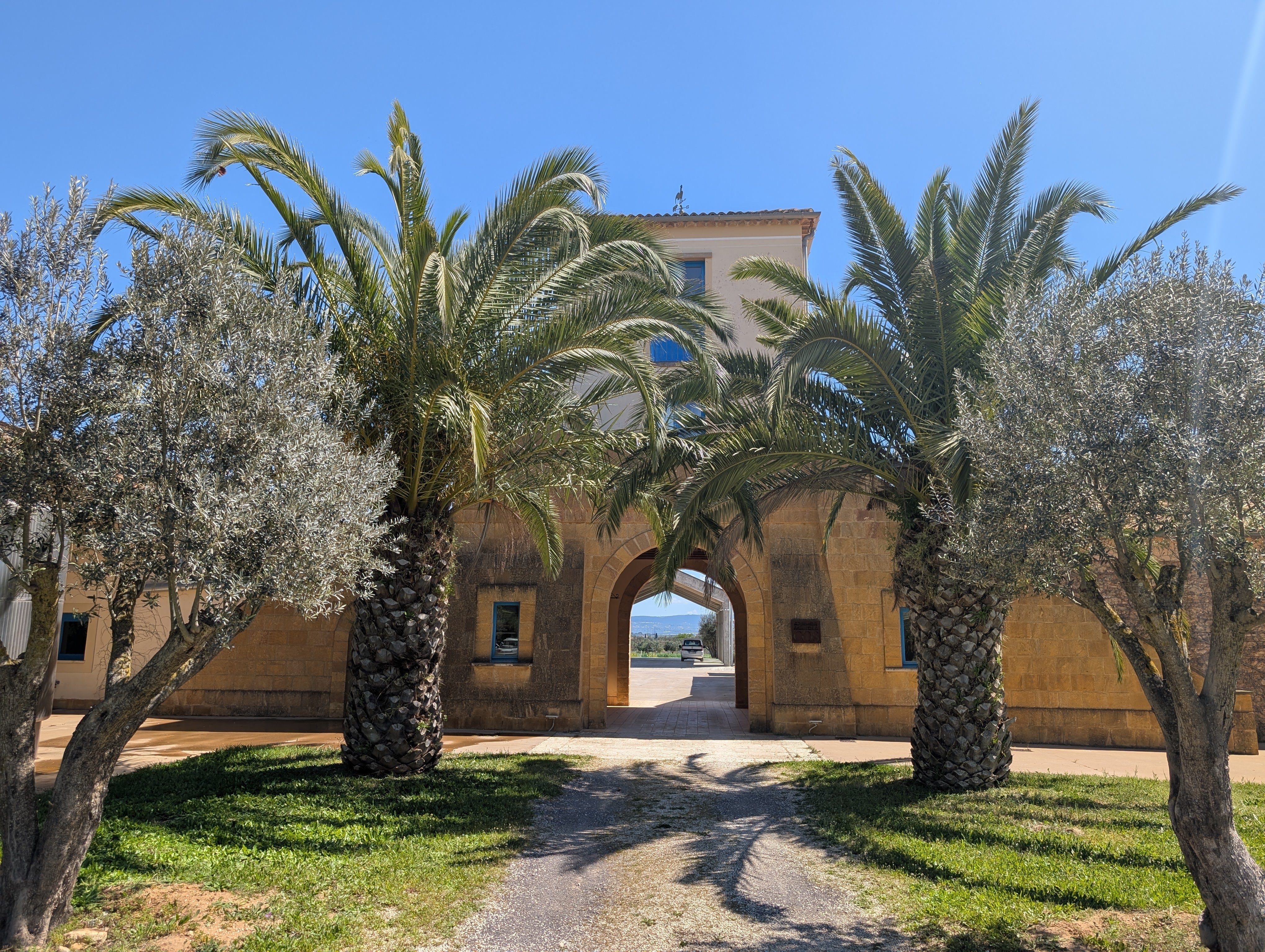 Icons of Sicily: The Story of Azienda Agricola COS Wine