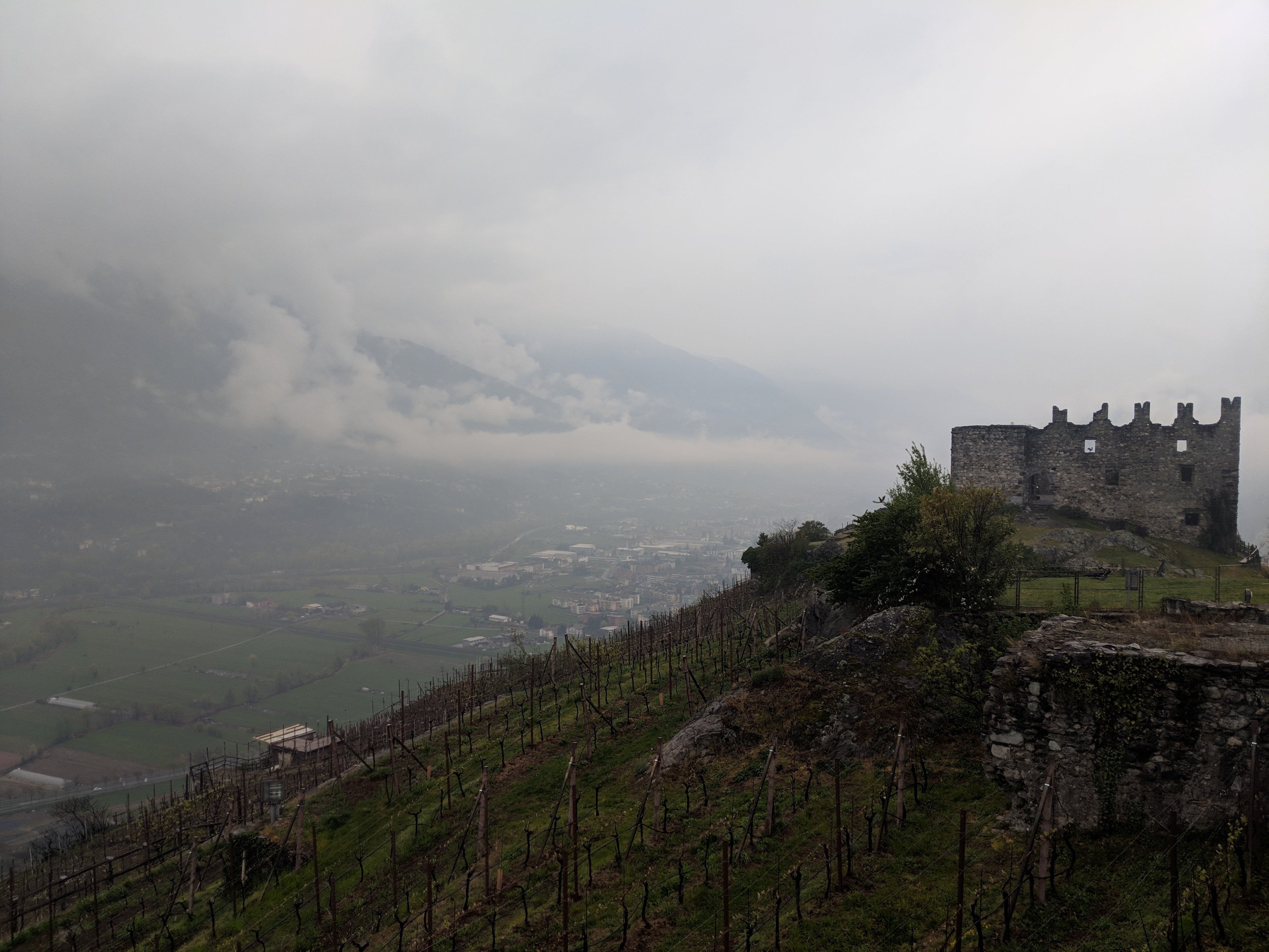 ARPEPE: Championing the Alpine Elegance of Valtellina Nebbiolo