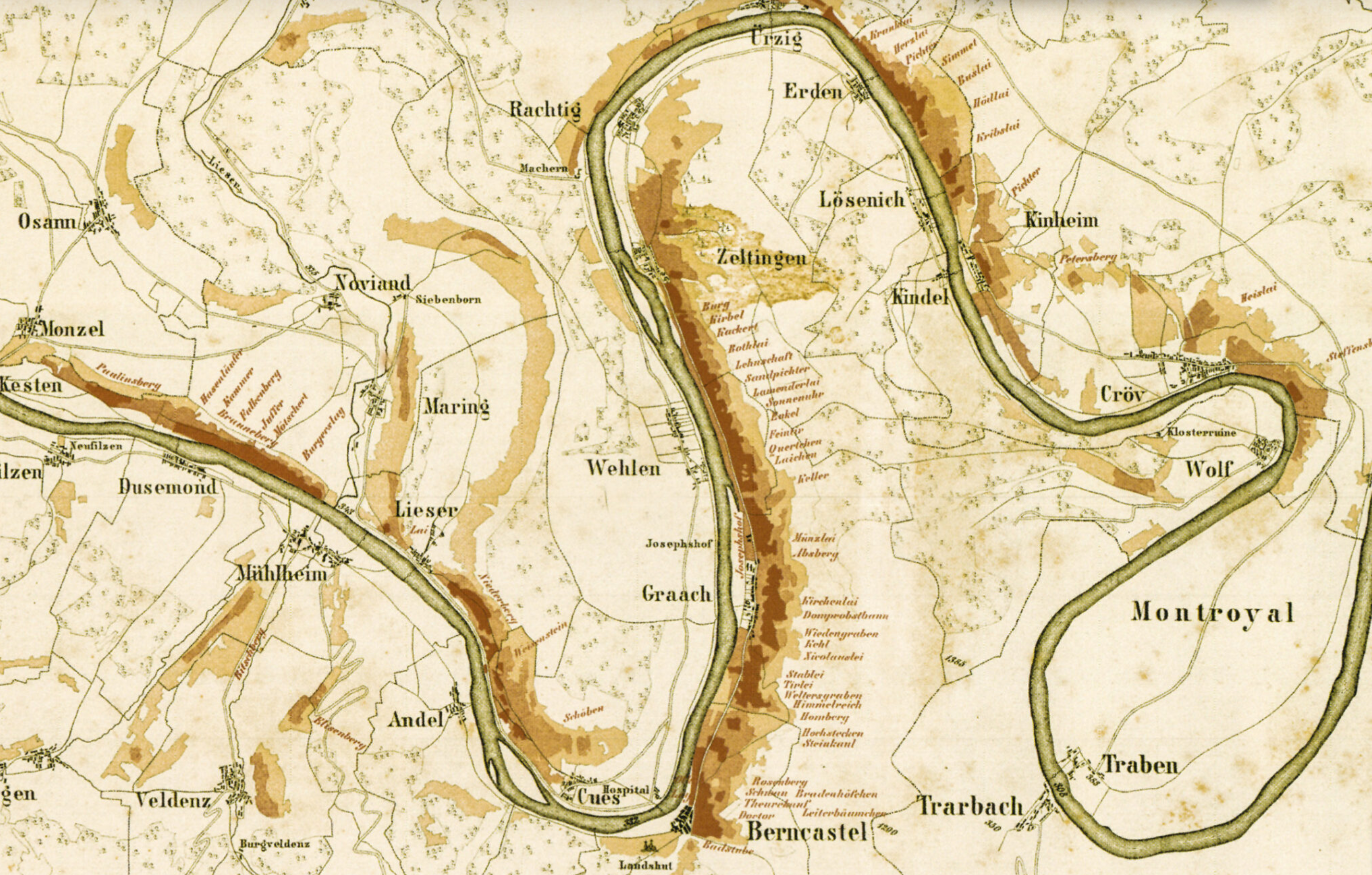 Dr. Loosen: The Muscular Global Empire of Mosel Riesling