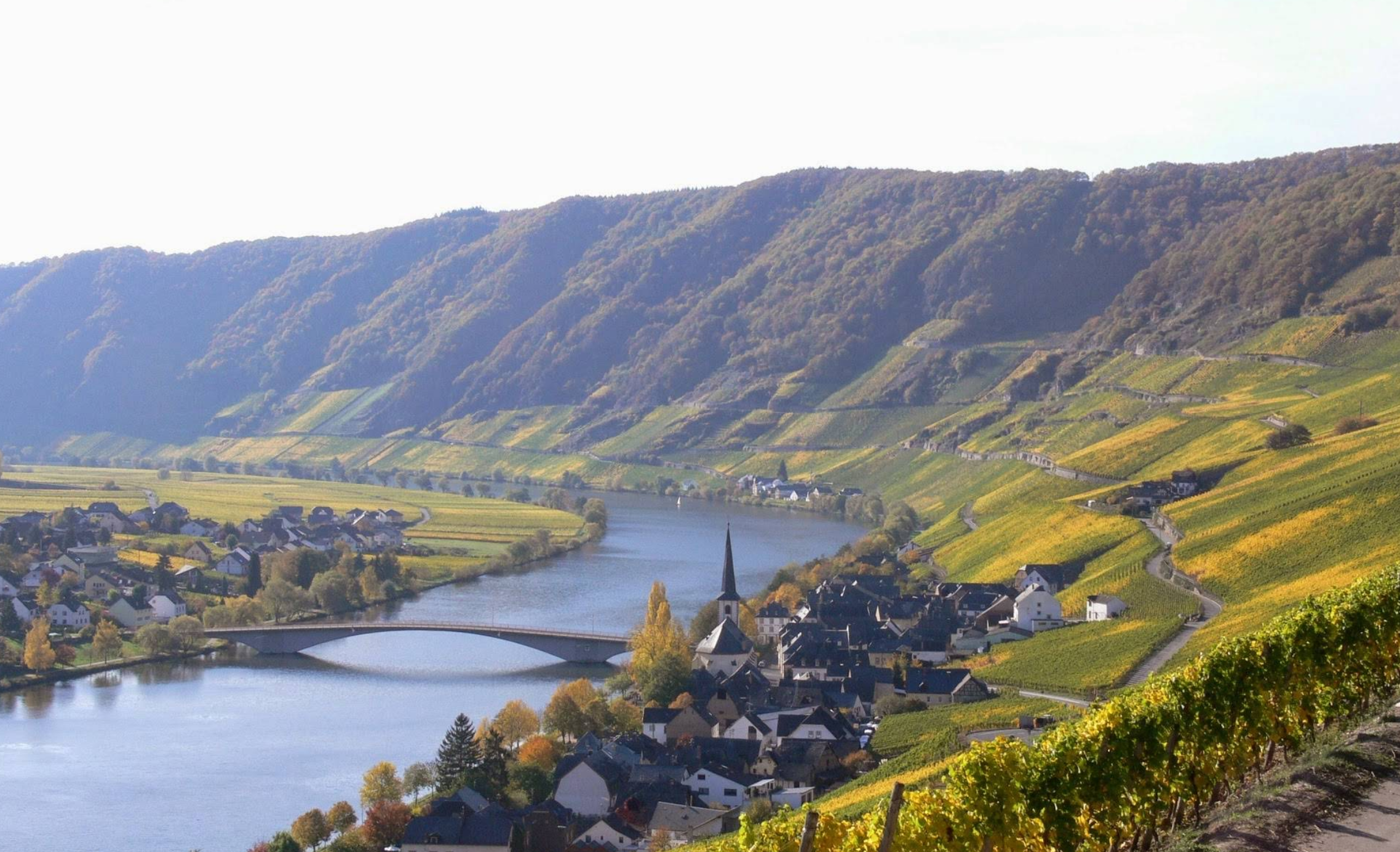 Weingut Reinhold Haart: 700 Years of Mosel Riesling History