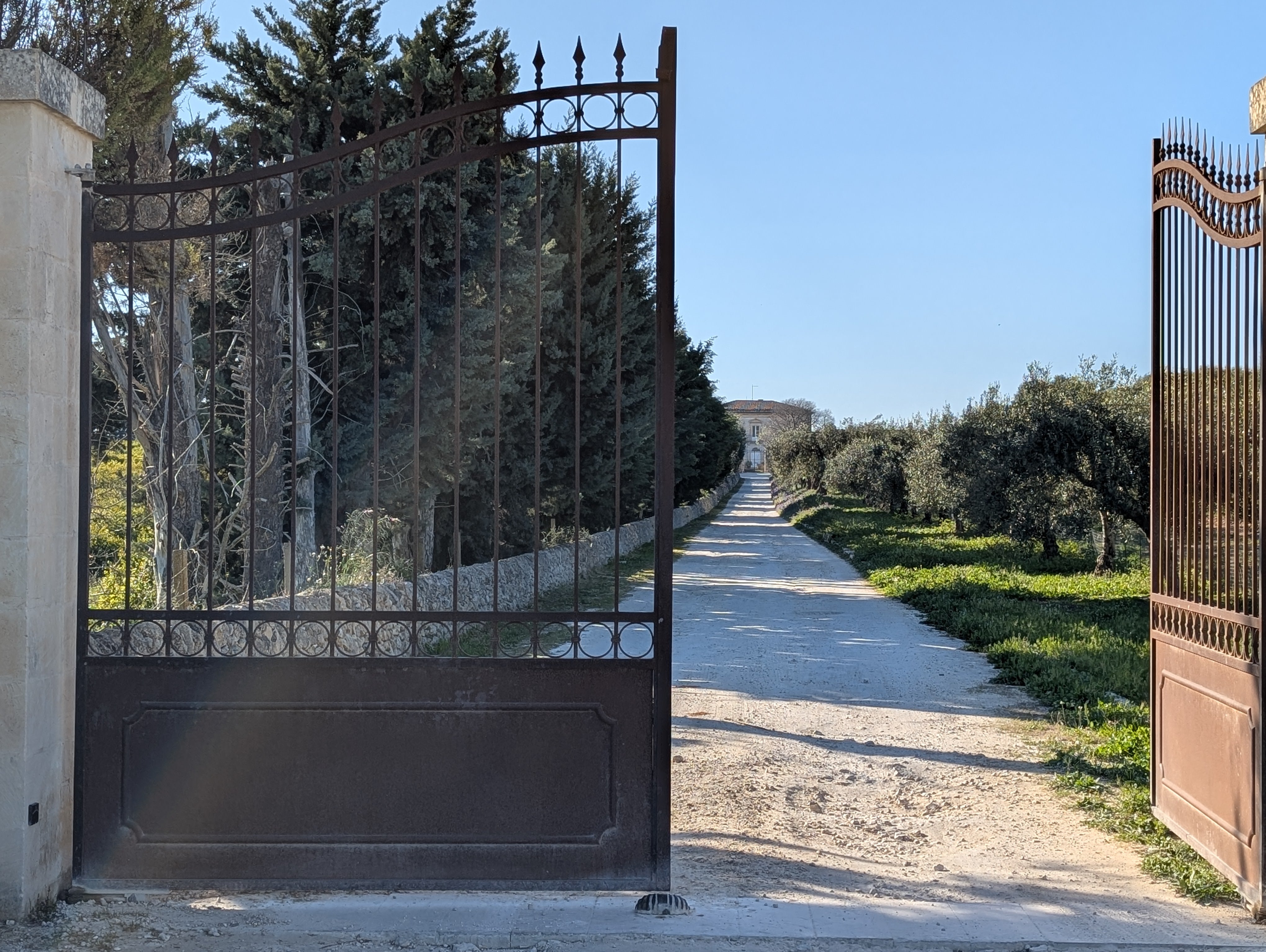 The Queen of Vittoria: Inside the Wines of Arianna Occhipinti