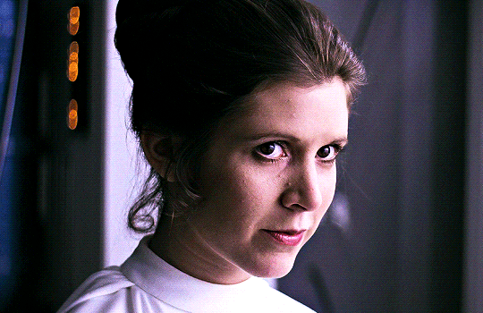 Leia Organa — 2022 Walter Scott Freedom Hill Mt. Pisgah Pinot Noir