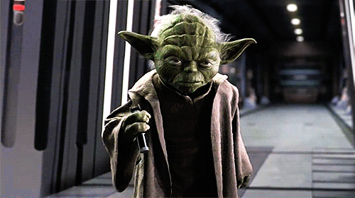 Yoda — 2022 Remoissenet Volnay 1er Cru Robardelles